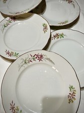 RICHARD GINORI  Servizio 12