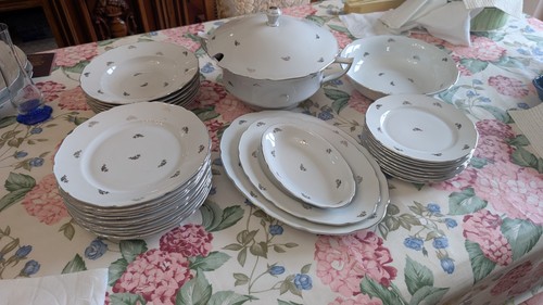 Servizio piatti porcellana - servizio,